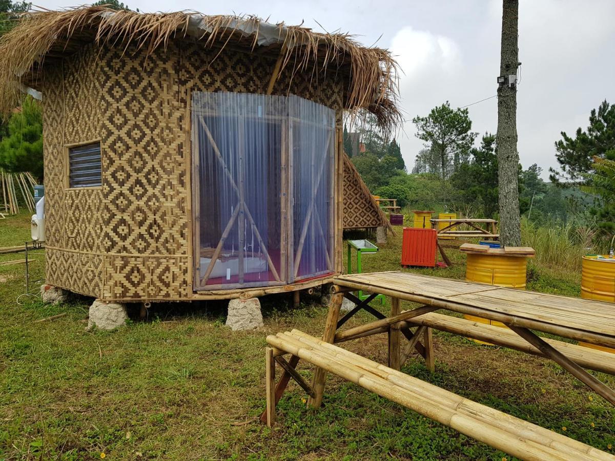 Perkemahan Glamping Di Jungle, Ciwidey Bandung