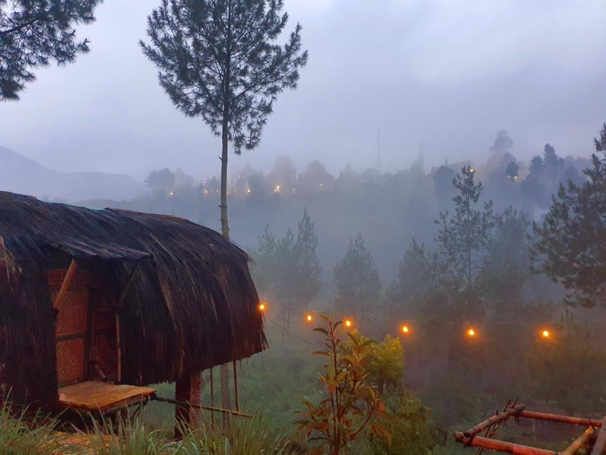 Perkemahan Glamping Di Jungle, Ciwidey