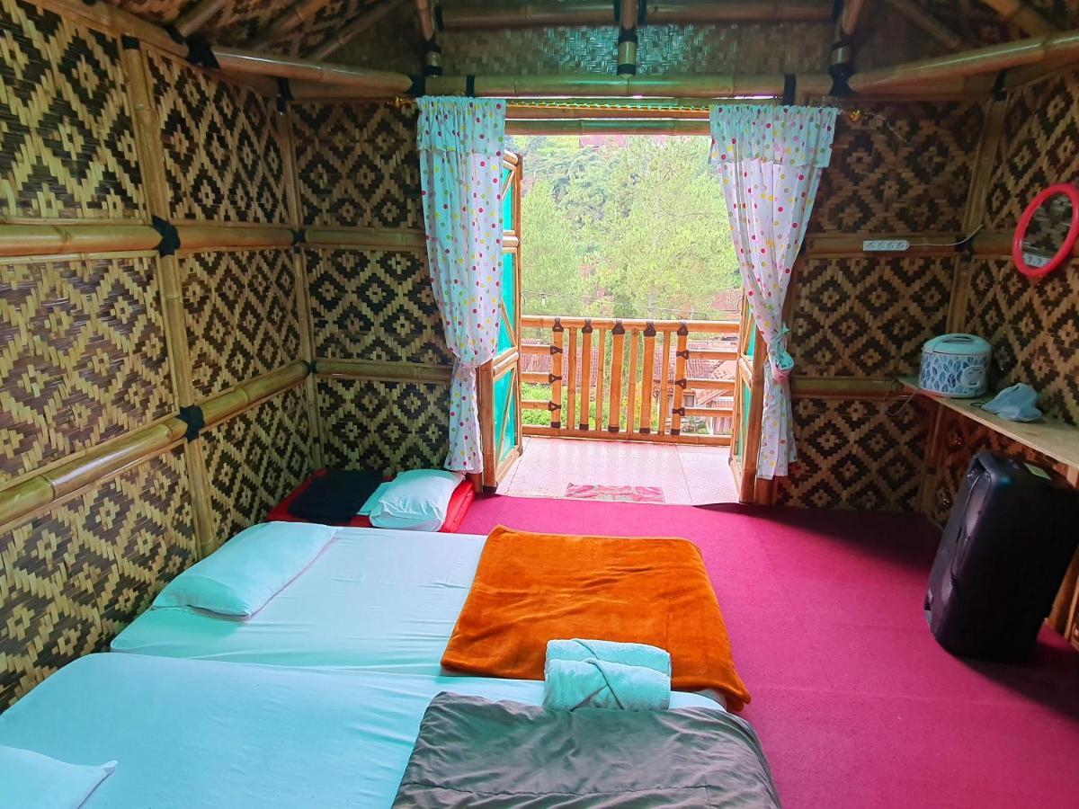 Glamping Di Jungle, Ciwidey Perkemahan