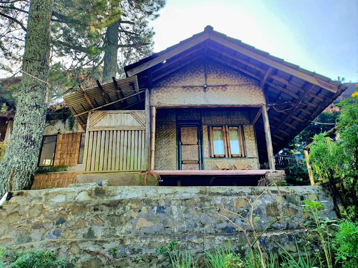 Perkemahan Glamping Di Jungle, Ciwidey